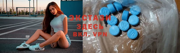 СК Алексин