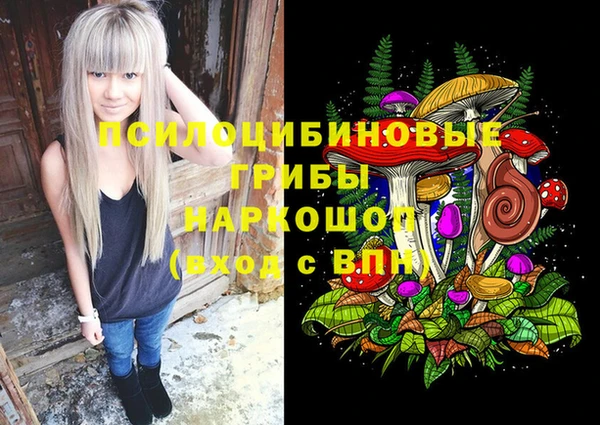 Альфа ПВП Алексеевка