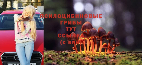 соль курить ск Ростов