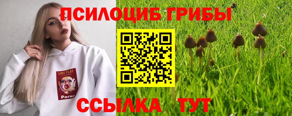 Кириши  Галлюциногенные грибы ЛСД  Вход с VPN 