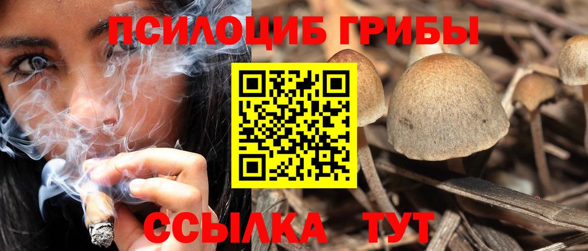 Псилоцибиновые грибы прущие грибы Кириши
